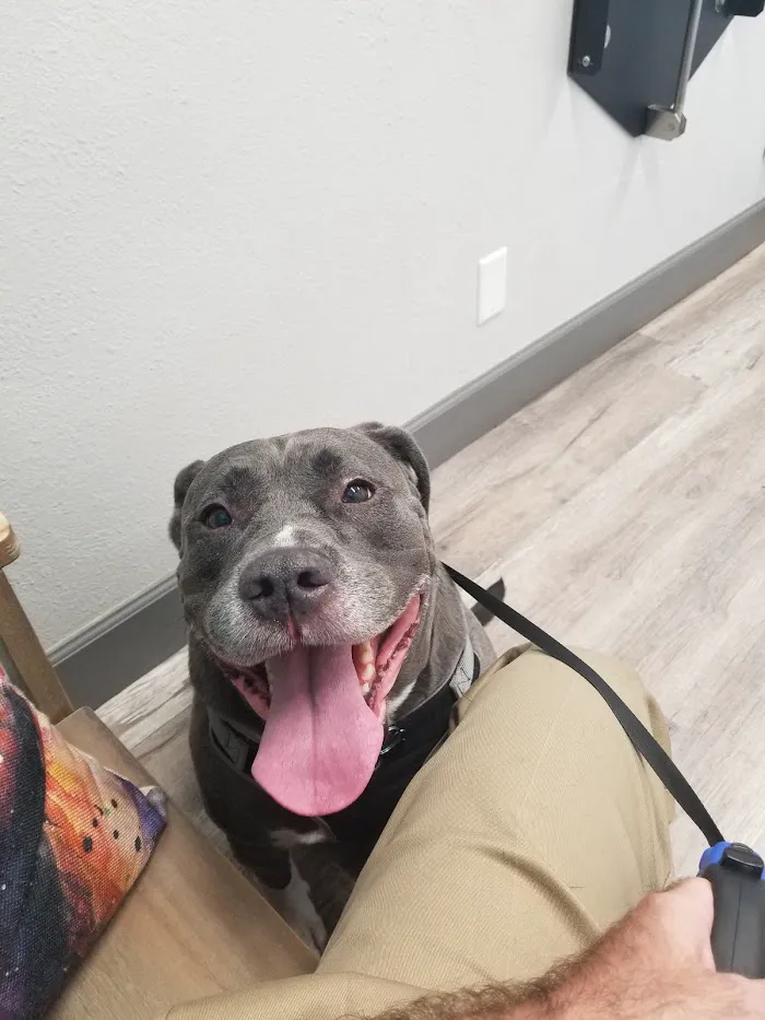 Glen Springs Veterinary Center 9