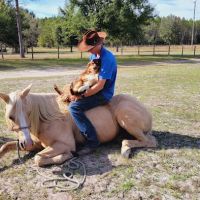 Coastline Veterinary Services ico