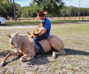 Coastline Veterinary Services
