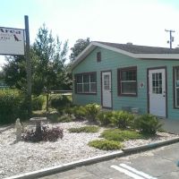 Lake Area Animal Hospital ico