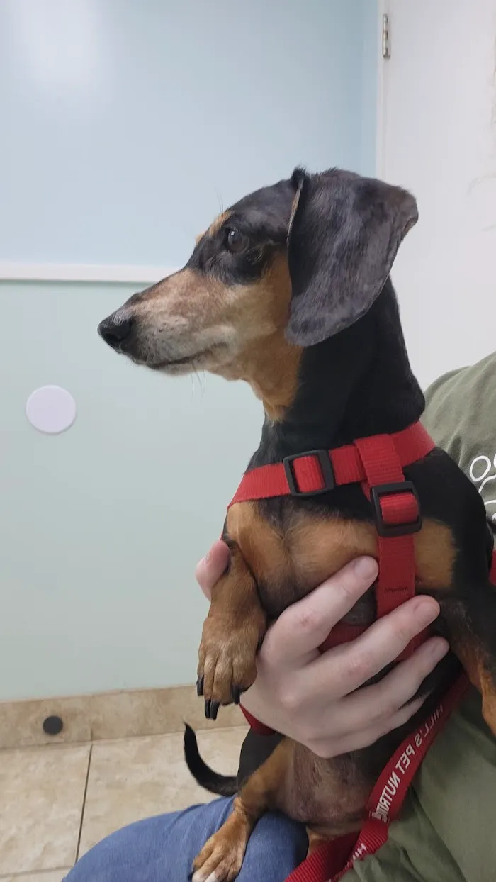 Keystone Heights Animal Hospital 12