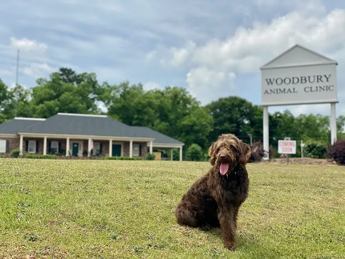 Woodbury Animal Clinic 12