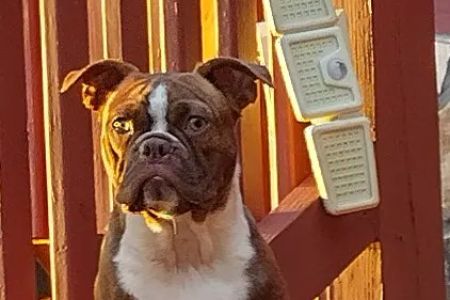 Woodbury Animal Clinic