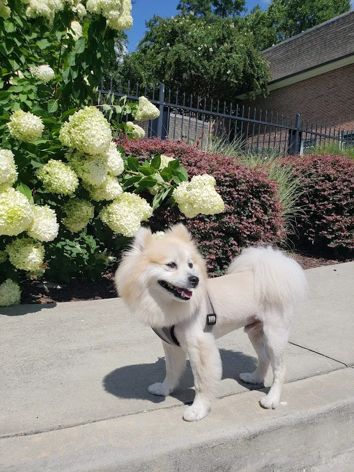 Peachtree Creek Animal Hospital 6