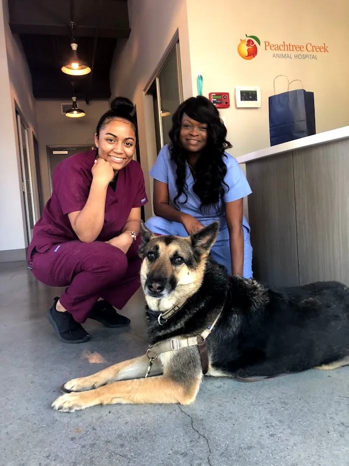 Peachtree Creek Animal Hospital 9