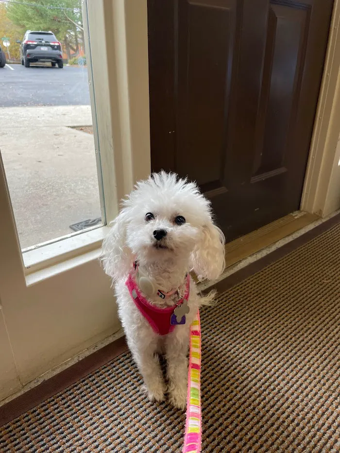 Northlake Veterinary Surgery 12