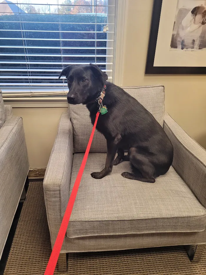 Northlake Veterinary Surgery 12