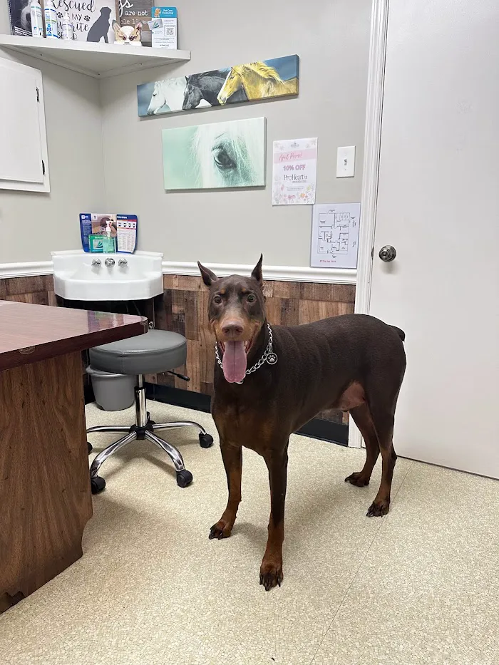 Sigman Veterinary Clinic 12