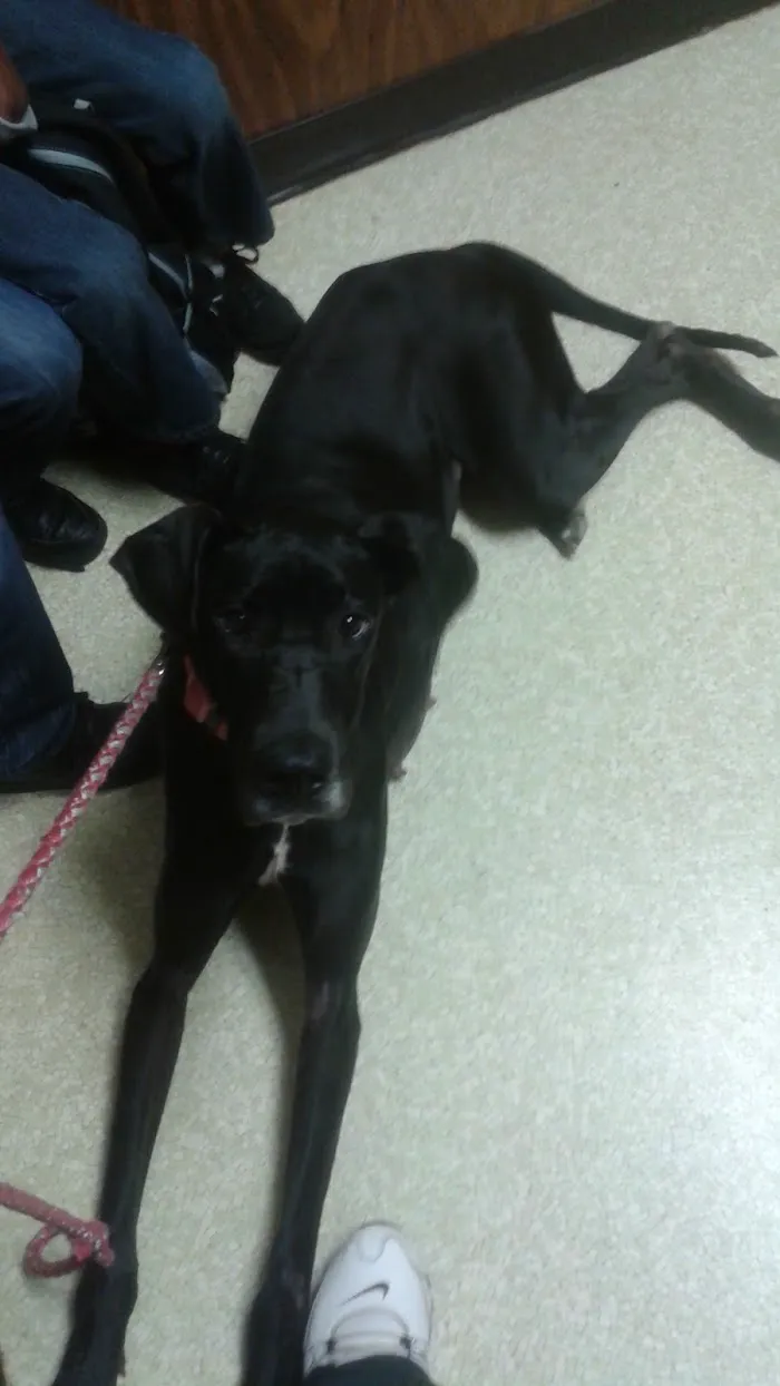 Sigman Veterinary Clinic 12