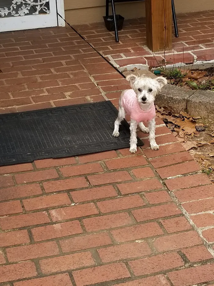 Dennis Veterinary Clinic 12