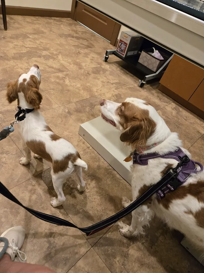 Wellspring Animal Hospital 7