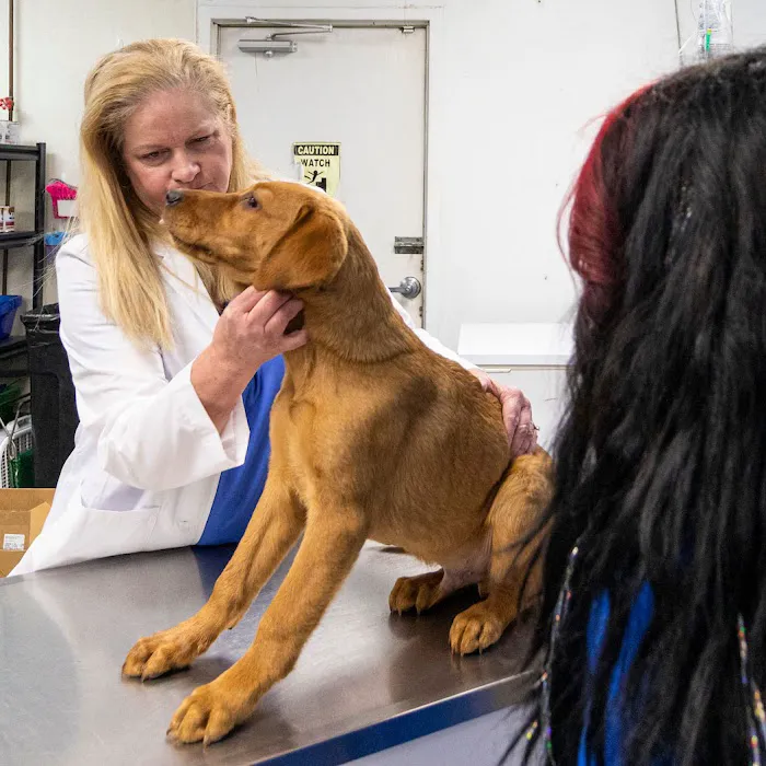 East Metro Animal Emergency Clinic 12