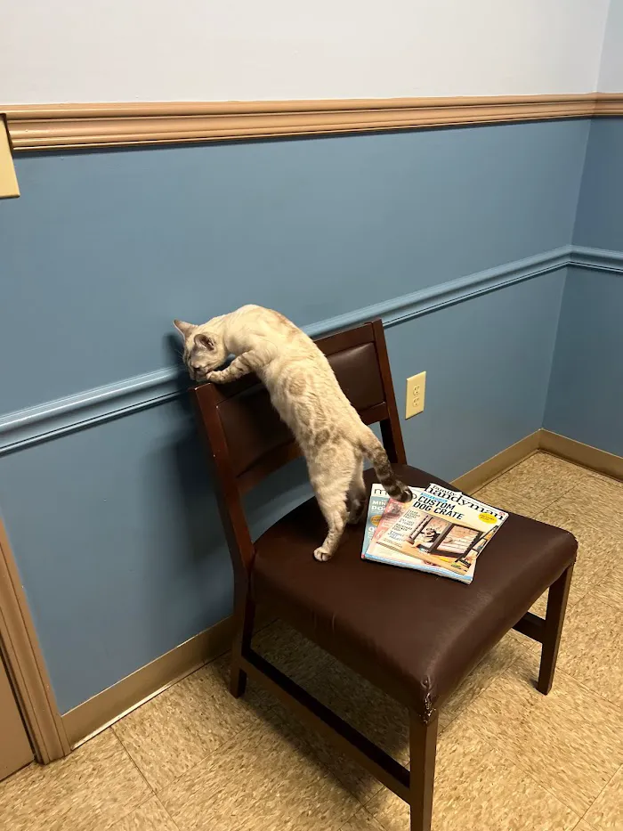 East Metro Animal Emergency Clinic 12
