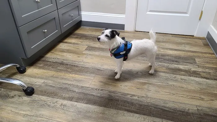 Zebulon Animal Hospital 12