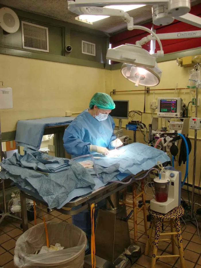 VCA Briarcliff Animal Hospital 5