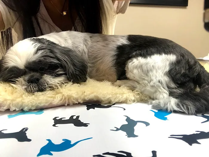 VCA Briarcliff Animal Hospital 3
