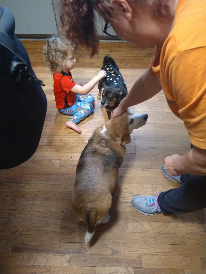 Animal Medical Clinic 12