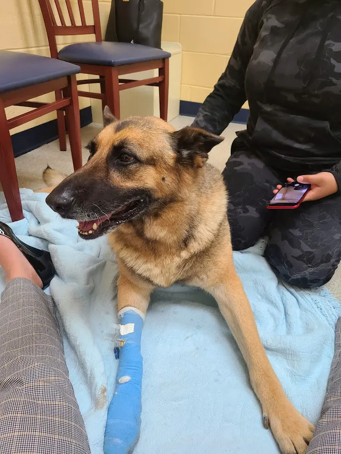 Conyers Animal Hospital 12