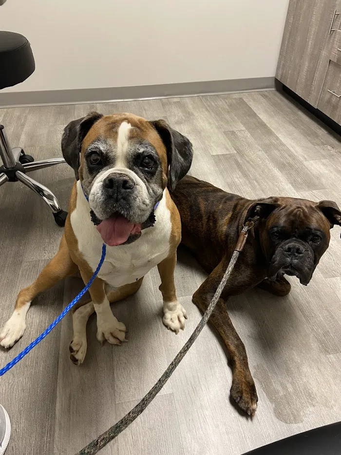 Conyers Animal Hospital 12