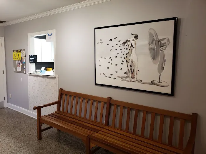 North Dekalb Veterinary Clinic 3