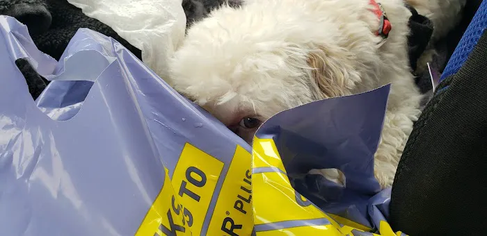 Dearborn Animal Hospital 12