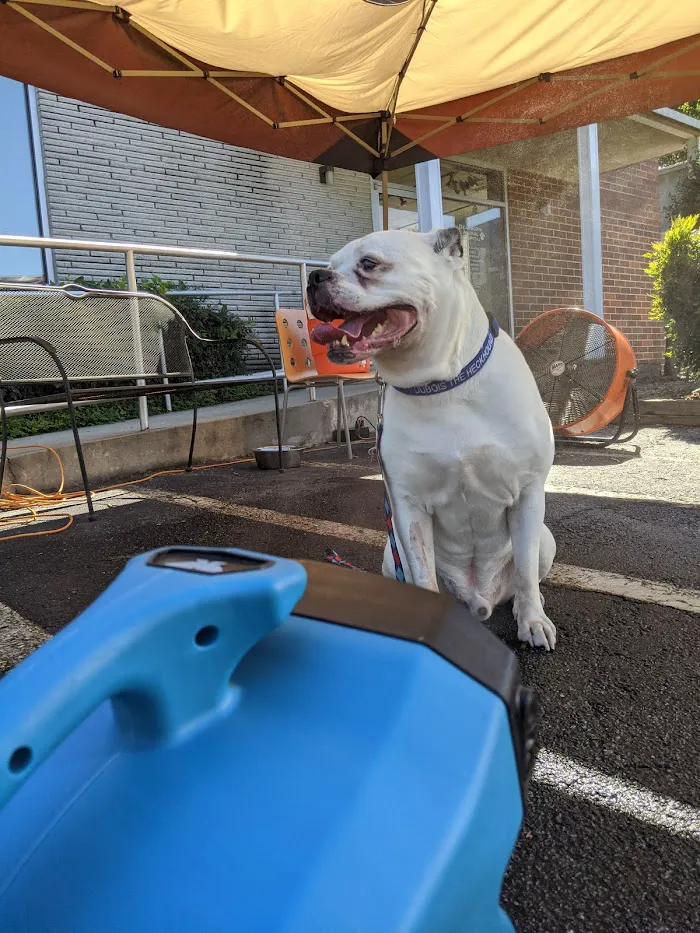 Dearborn Animal Hospital 12