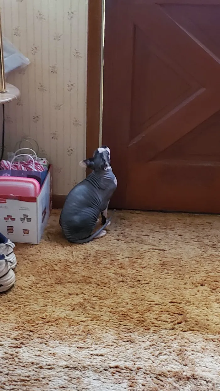Barnesville Animal Clinic 12