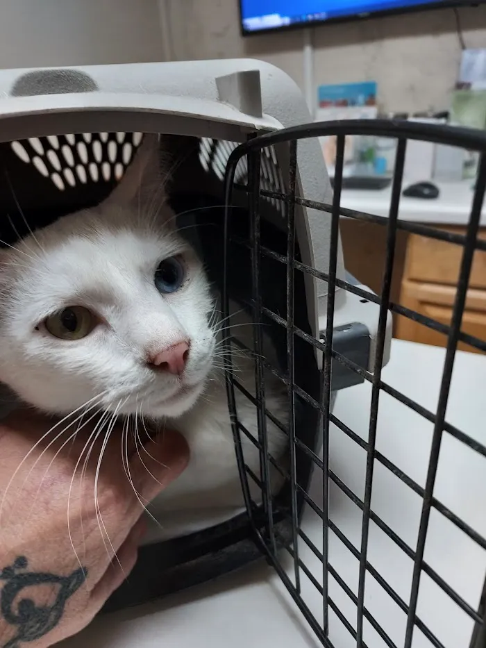 Barnesville Animal Clinic 12