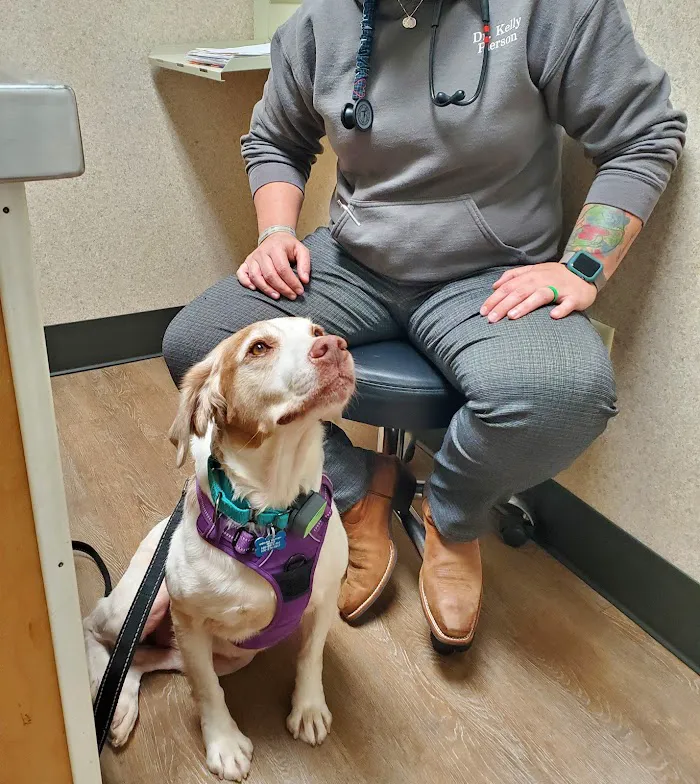 Brookwood Animal Hospital 2