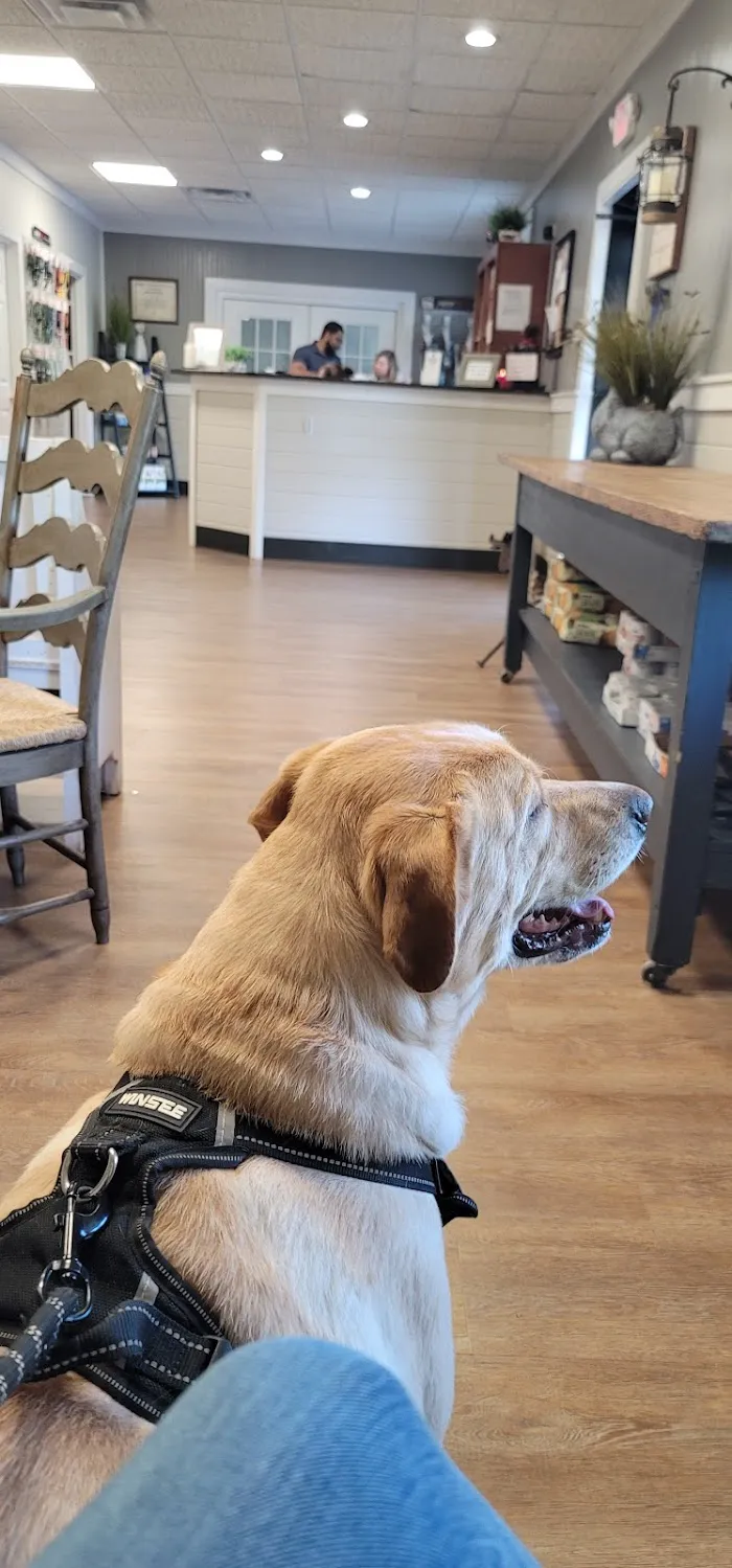 Brookwood Animal Hospital 8