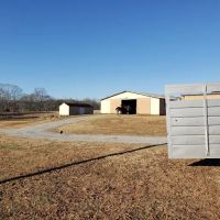Fulton Equine Clinic ico