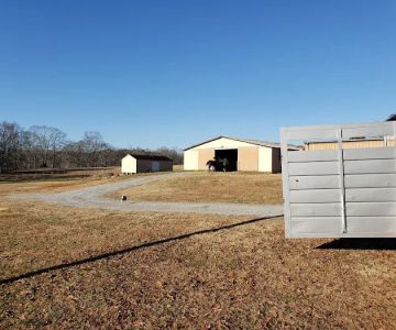 Fulton Equine Clinic