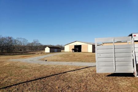 Fulton Equine Clinic