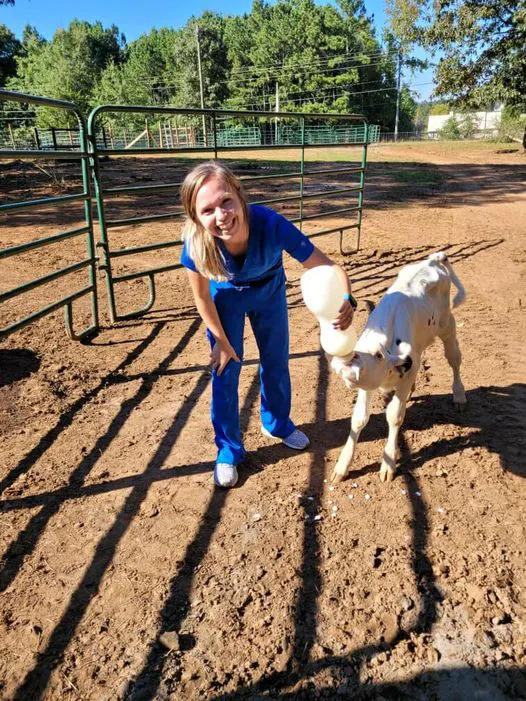 Thompson Veterinary Services (Mobile and Office For Large and Small Animals) 5