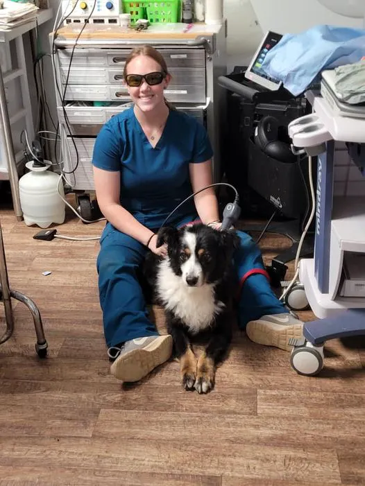 Thompson Veterinary Services (Mobile and Office For Large and Small Animals) 1