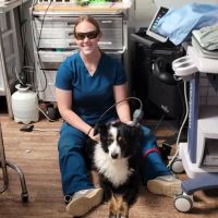 Thompson Veterinary Services (Mobile and Office For Large and Small Animals) ico