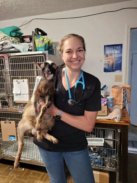 Thompson Veterinary Services (Mobile and Office For Large and Small Animals) 4