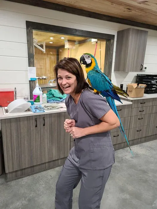 Thompson Veterinary Services (Mobile and Office For Large and Small Animals) 2