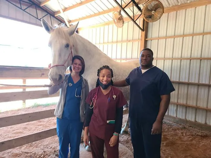 Thompson Veterinary Services (Mobile and Office For Large and Small Animals) 7