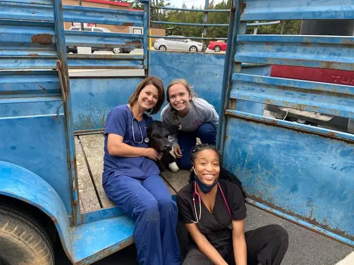 Thompson Veterinary Services (Mobile and Office For Large and Small Animals) 6