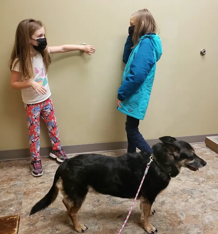Oak Hill Animal Hospital 12