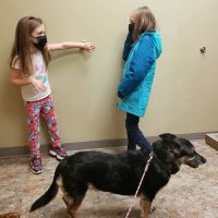 Oak Hill Animal Hospital ico