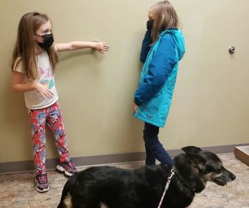 Oak Hill Animal Hospital