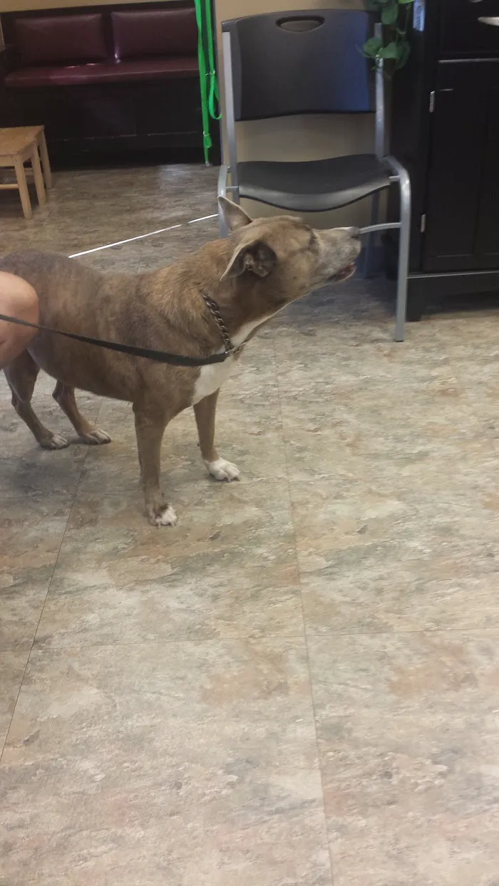 Oak Hill Animal Hospital 12