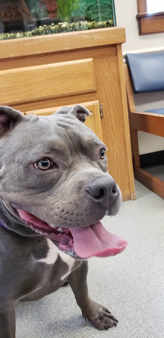 Rockdale Animal Hospital 12