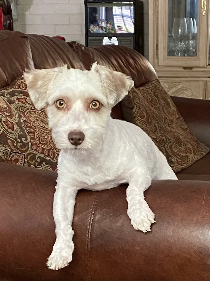 Honey Creek Veterinary Hospital 1