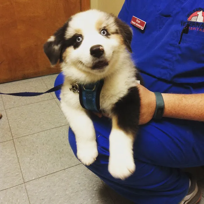 Honey Creek Veterinary Hospital 9