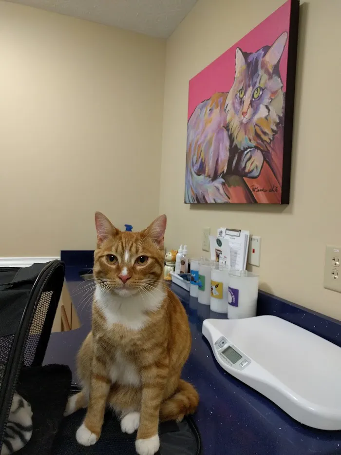 Lake Dow Animal Hospital 8