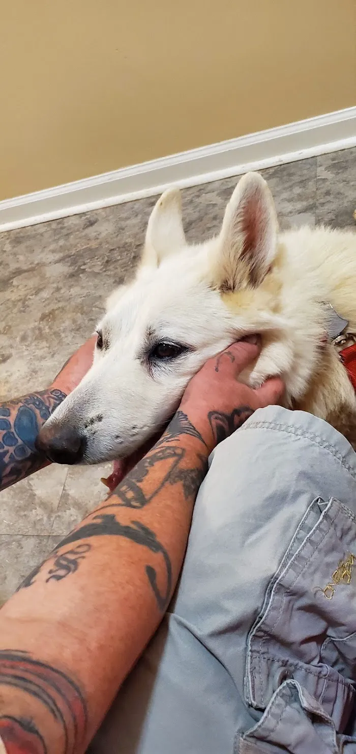 Lake Dow Animal Hospital 7