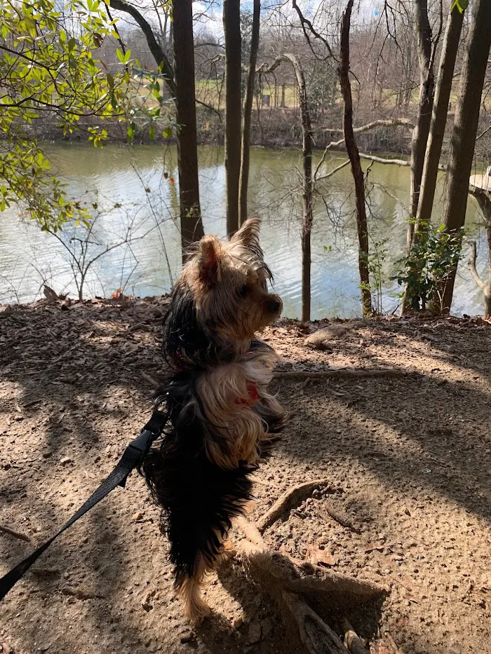 Peachtree Hills Animal Hospital 9